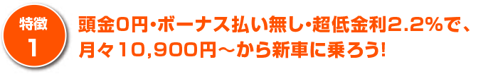 頭金０円・ボーナス払い無し・超低金利１．９％で、月々10,900円～から新車に乗ろう！